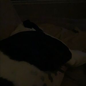 Meet your Posher, Steve